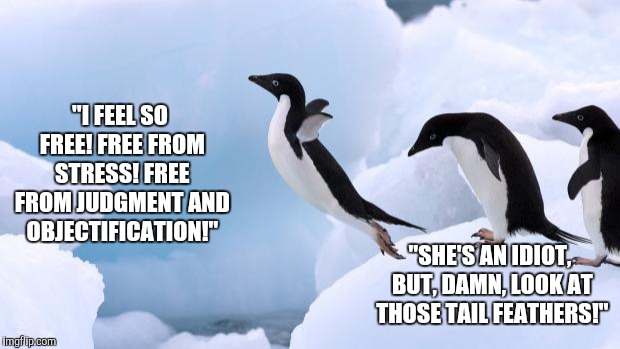 flying penguin | "I FEEL SO FREE! FREE FROM STRESS! FREE FROM JUDGMENT AND OBJECTIFICATION!"; "SHE'S AN IDIOT, BUT, DAMN, LOOK AT THOSE TAIL FEATHERS!" | image tagged in flying penguin | made w/ Imgflip meme maker