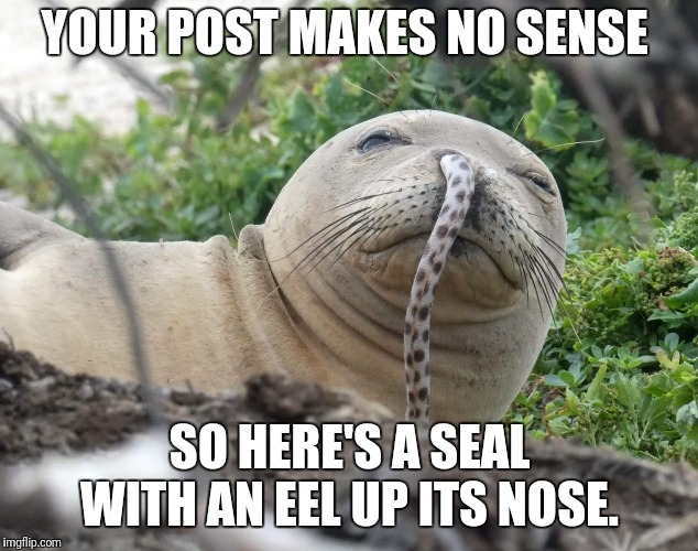 YOUR POST MAKES NO SENSE; SO HERE'S A SEAL WITH AN EEL UP ITS NOSE. | image tagged in seal eel | made w/ Imgflip meme maker