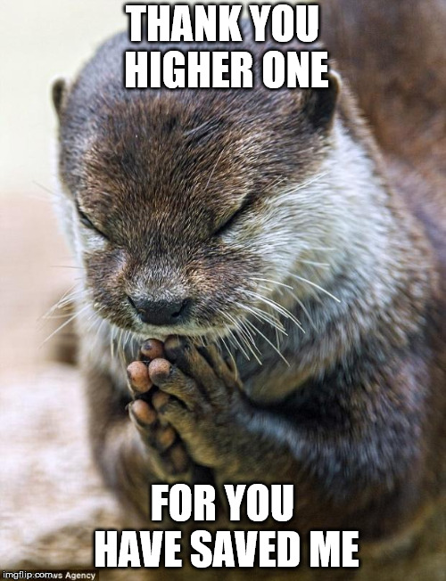 Thank you Lord Otter | THANK YOU HIGHER ONE FOR YOU HAVE SAVED ME | image tagged in thank you lord otter | made w/ Imgflip meme maker