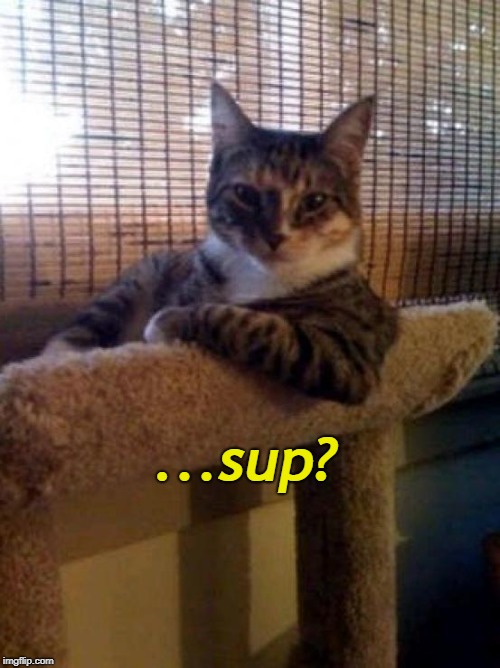 The Most Interesting Cat In The World | ...sup? | image tagged in memes,the most interesting cat in the world | made w/ Imgflip meme maker
