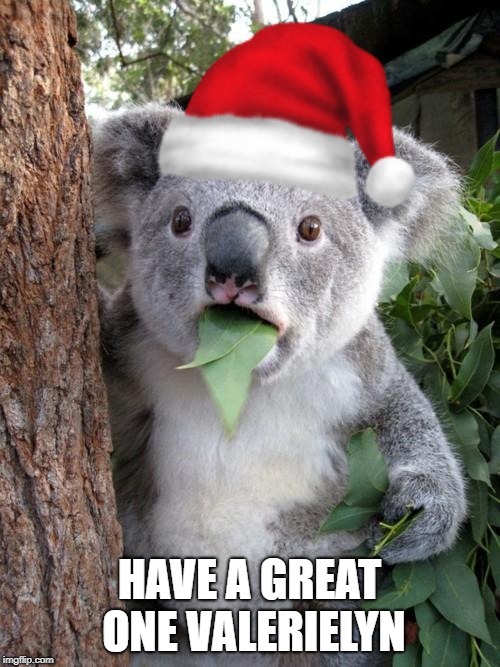 Surprised Koala Meme | HAVE A GREAT ONE VALERIELYN | image tagged in memes,surprised koala | made w/ Imgflip meme maker