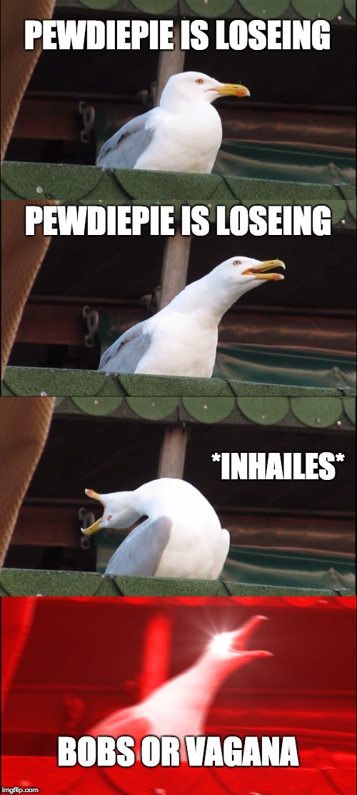 Inhaling Seagull Meme | PEWDIEPIE IS LOSEING; PEWDIEPIE IS LOSEING; *INHAILES*; BOBS OR VAGANA | image tagged in memes,inhaling seagull | made w/ Imgflip meme maker