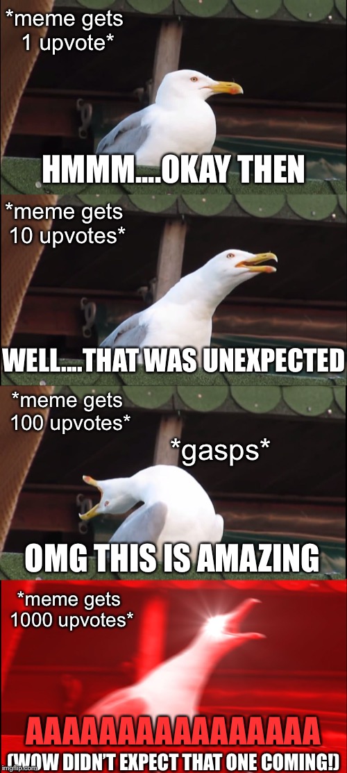 Inhaling Seagull | *meme gets 1 upvote*; HMMM....OKAY THEN; *meme gets 10 upvotes*; WELL....THAT WAS UNEXPECTED; *meme gets 100 upvotes*; *gasps*; OMG THIS IS AMAZING; *meme gets 1000 upvotes*; AAAAAAAAAAAAAAAA; (WOW DIDN’T EXPECT THAT ONE COMING!) | image tagged in memes,inhaling seagull | made w/ Imgflip meme maker