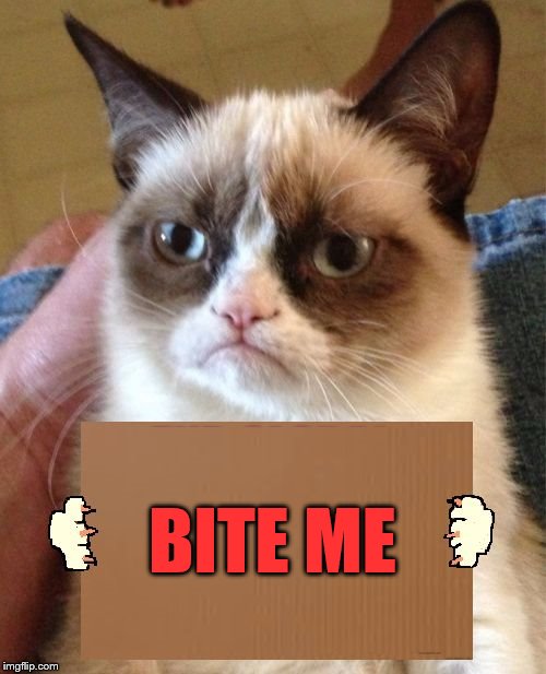 Grumpy Cat Cardboard Sign | BITE ME | image tagged in grumpy cat cardboard sign | made w/ Imgflip meme maker