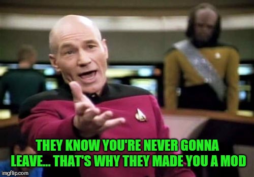 Picard Wtf Meme | THEY KNOW YOU'RE NEVER GONNA LEAVE... THAT'S WHY THEY MADE YOU A MOD | image tagged in memes,picard wtf | made w/ Imgflip meme maker