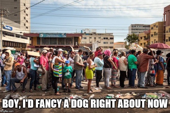 venezuela starvation | BOY, I'D FANCY A DOG RIGHT ABOUT NOW | image tagged in venezuela starvation | made w/ Imgflip meme maker