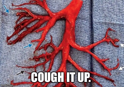Cough It Up! | COUGH IT UP. | image tagged in tell me more,secrets | made w/ Imgflip meme maker