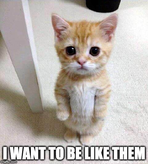 Cute Cat Meme | I WANT TO BE LIKE THEM | image tagged in memes,cute cat | made w/ Imgflip meme maker