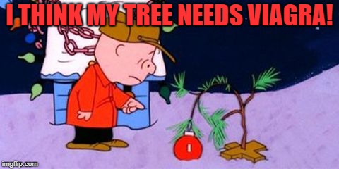 I THINK MY TREE NEEDS VIAGRA! | image tagged in christmas,charlie brown | made w/ Imgflip meme maker