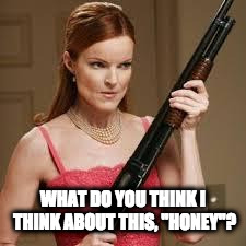 wife with a shotgun | WHAT DO YOU THINK I THINK ABOUT THIS, "HONEY"? | image tagged in wife with a shotgun | made w/ Imgflip meme maker