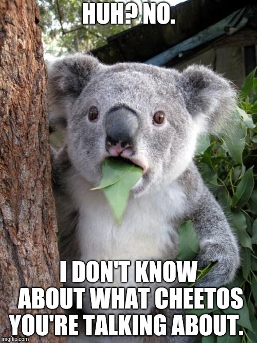 Surprised Koala Meme | HUH? NO. I DON'T KNOW ABOUT WHAT CHEETOS YOU'RE TALKING ABOUT. | image tagged in memes,surprised koala | made w/ Imgflip meme maker