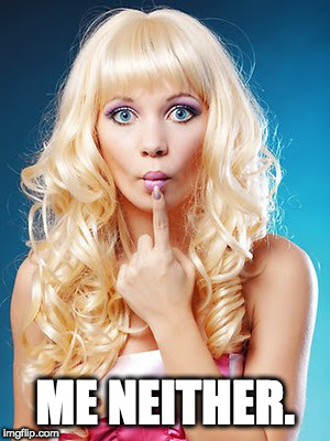 Dumb blonde | ME NEITHER. | image tagged in dumb blonde | made w/ Imgflip meme maker