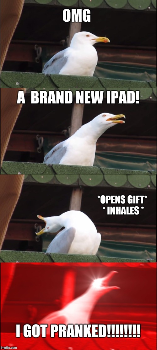 Inhaling Seagull | OMG; A  BRAND NEW IPAD! *OPENS GIFT* * INHALES *; I GOT PRANKED!!!!!!!! | image tagged in memes,inhaling seagull | made w/ Imgflip meme maker