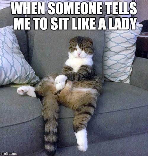 like a lady meme