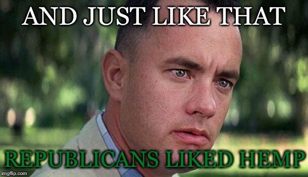 Even The Forest Was Surprised | AND JUST LIKE THAT; REPUBLICANS LIKED HEMP | image tagged in forest gump,and just like that,republicans,industrial,hemp,cannabis | made w/ Imgflip meme maker