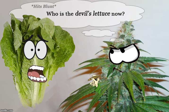 devil's lettuce  | image tagged in devil,devil's lettuce,lettuce,pot | made w/ Imgflip meme maker