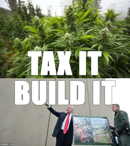 Tax it build it  | image tagged in tax it,tax,build that wall,wall | made w/ Imgflip meme maker