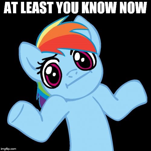 Pony Shrugs Meme | AT LEAST YOU KNOW NOW | image tagged in memes,pony shrugs | made w/ Imgflip meme maker