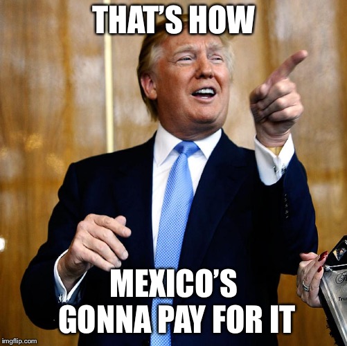 Donal Trump Birthday | THAT’S HOW MEXICO’S GONNA PAY FOR IT | image tagged in donal trump birthday | made w/ Imgflip meme maker
