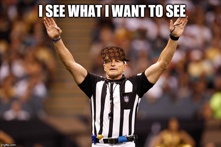 Logical Fallacy Referee NFL #85 | I SEE WHAT I WANT TO SEE | image tagged in logical fallacy referee nfl 85 | made w/ Imgflip meme maker