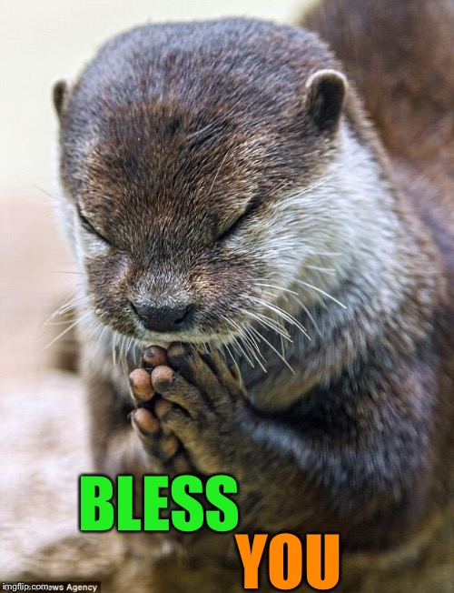 Thank you Lord Otter | BLESS YOU | image tagged in thank you lord otter | made w/ Imgflip meme maker