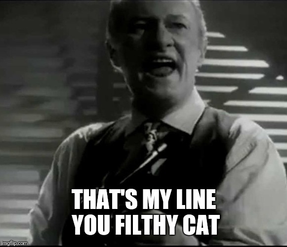 THAT'S MY LINE YOU FILTHY CAT | made w/ Imgflip meme maker