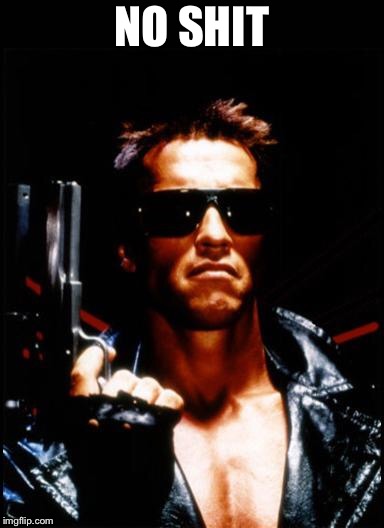 terminator arnold schwarzenegger | NO SHIT | image tagged in terminator arnold schwarzenegger | made w/ Imgflip meme maker