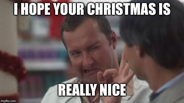 Real Nice - Christmas Vacation | I HOPE YOUR CHRISTMAS IS; REALLY NICE | image tagged in real nice - christmas vacation | made w/ Imgflip meme maker