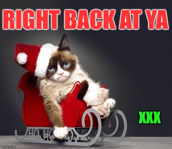 Grumpy Cat Christmas HD | RIGHT BACK AT YA XXX | image tagged in grumpy cat christmas hd | made w/ Imgflip meme maker