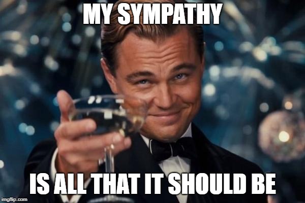 Leonardo Dicaprio Cheers Meme | MY SYMPATHY; IS ALL THAT IT SHOULD BE | image tagged in memes,leonardo dicaprio cheers | made w/ Imgflip meme maker