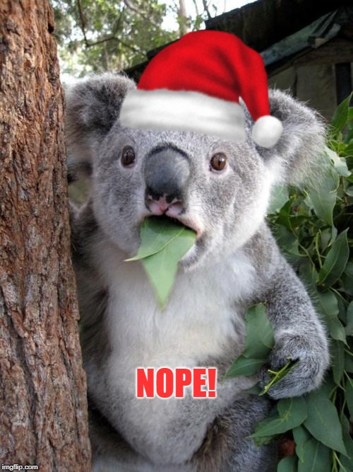 Surprised Koala Meme | NOPE! | image tagged in memes,surprised koala | made w/ Imgflip meme maker