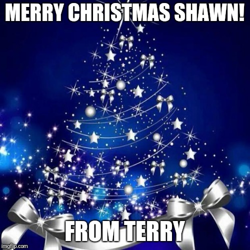 Merry Christmas  | MERRY CHRISTMAS SHAWN! FROM TERRY | image tagged in merry christmas | made w/ Imgflip meme maker