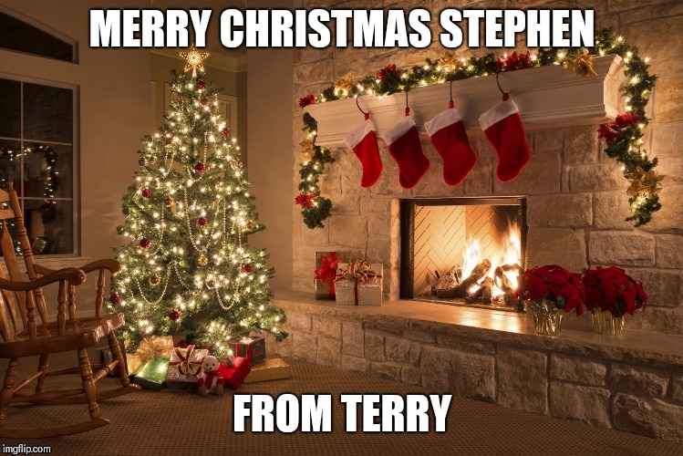 Merry Christmas | MERRY CHRISTMAS STEPHEN; FROM TERRY | image tagged in merry christmas | made w/ Imgflip meme maker