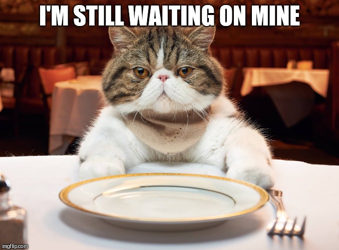 hungry cat | I'M STILL WAITING ON MINE | image tagged in hungry cat | made w/ Imgflip meme maker
