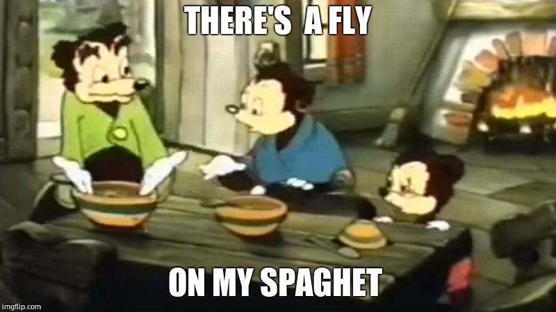 Somebody Toucha my spaghet | THERE'S  A FLY; ON MY SPAGHET | image tagged in somebody toucha my spaghet | made w/ Imgflip meme maker