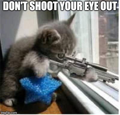cats with guns | DON'T SHOOT YOUR EYE OUT | image tagged in cats with guns | made w/ Imgflip meme maker