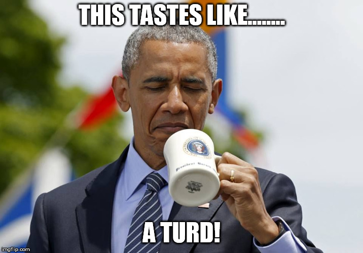 Kind of an aftertaste.... | THIS TASTES LIKE........ A TURD! | image tagged in obama coffee | made w/ Imgflip meme maker