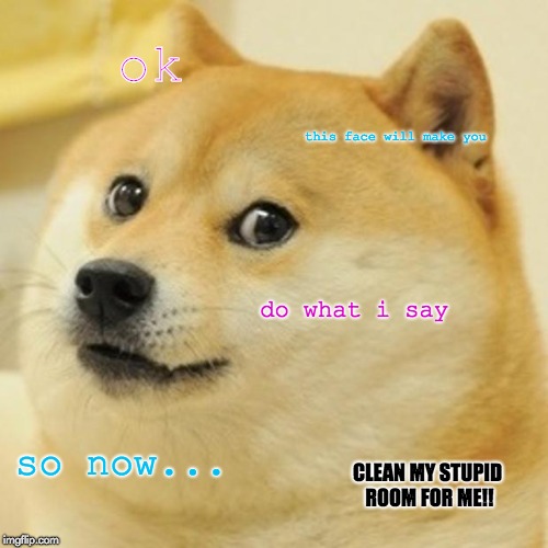 Doge | ok; this face will make you; do what i say; so now... CLEAN MY STUPID ROOM FOR ME!! | image tagged in memes,doge | made w/ Imgflip meme maker