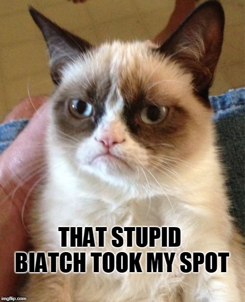 Grumpy Cat Meme | THAT STUPID BIATCH TOOK MY SPOT | image tagged in memes,grumpy cat | made w/ Imgflip meme maker