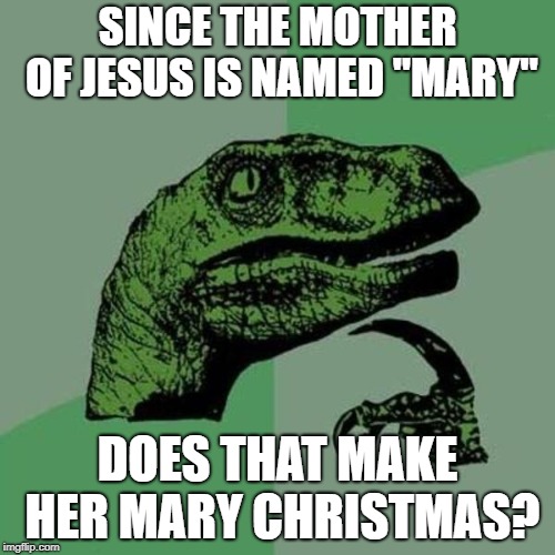 raptor | SINCE THE MOTHER OF JESUS IS NAMED "MARY"; DOES THAT MAKE HER MARY CHRISTMAS? | image tagged in raptor | made w/ Imgflip meme maker