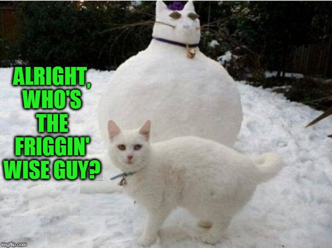 Do You Wanna Build a Snowman?It Doesn't Hafta Be a Snowman. | ALRIGHT WHO'S THE FRIGGIN' WISE GUY? , | image tagged in vince vance,cats,snowman,white cat in the snow,frozen,big fat snowman shaped like a cat | made w/ Imgflip meme maker