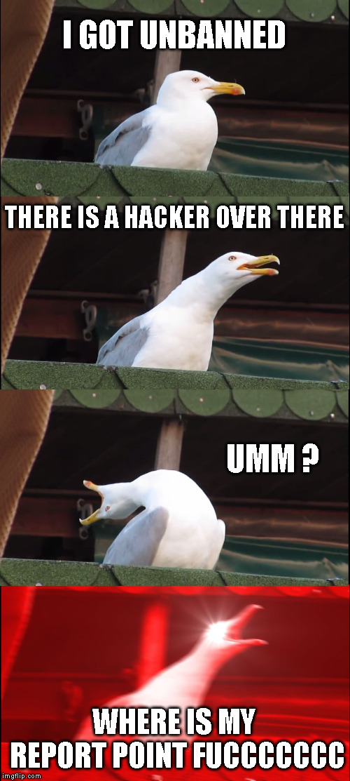 Inhaling Seagull Meme | I GOT UNBANNED; THERE IS A HACKER OVER THERE; UMM ? WHERE IS MY REPORT POINT FUCCCCCCC | image tagged in memes,inhaling seagull | made w/ Imgflip meme maker