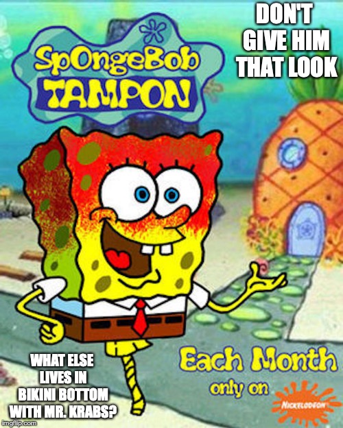 SpongeBob Tampon - Imgflip