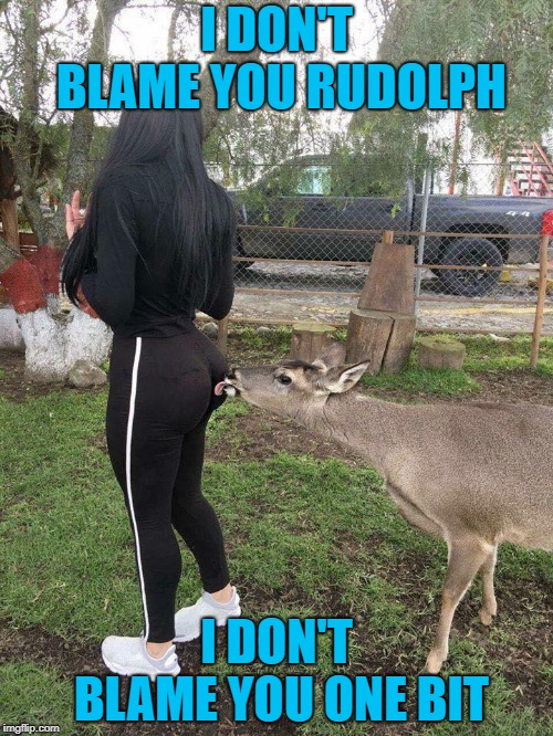 Yeah...but if I do that I get slapped!!! | I DON'T BLAME YOU RUDOLPH; I DON'T BLAME YOU ONE BIT | image tagged in deer lick,memes,bubble butt,funny,i don't blame you,deer | made w/ Imgflip meme maker