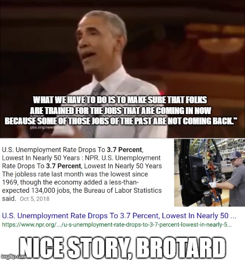 Another nice story from the Brotard | WHAT WE HAVE TO DO IS TO MAKE SURE THAT FOLKS ARE TRAINED FOR THE JOBS THAT ARE COMING IN NOW BECAUSE SOME OF THOSE JOBS OF THE PAST ARE NOT COMING BACK."; NICE STORY, BROTARD | image tagged in stupid obama quotes,libtard,obama | made w/ Imgflip meme maker