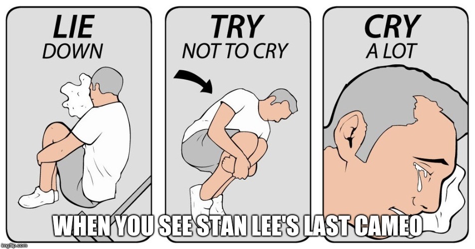 Dont cry | WHEN YOU SEE STAN LEE'S LAST CAMEO | image tagged in try not to cry | made w/ Imgflip meme maker