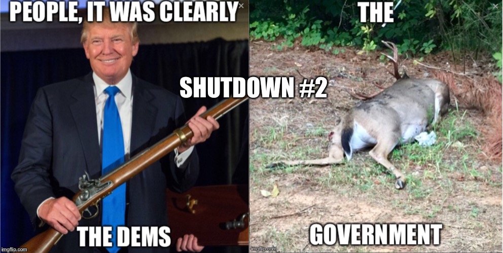 SHUTDOWN #2 | image tagged in trumps cause | made w/ Imgflip meme maker