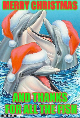 MERRY CHRISTMAS; AND THANKS FOR ALL THE FISH | image tagged in santa hat dolphins | made w/ Imgflip meme maker