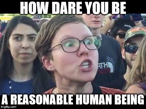 Angry sjw | HOW DARE YOU BE A REASONABLE HUMAN BEING | image tagged in angry sjw | made w/ Imgflip meme maker