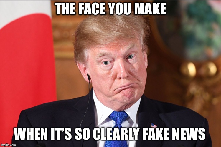 THE FACE YOU MAKE; WHEN IT’S SO CLEARLY FAKE NEWS | image tagged in trump faces | made w/ Imgflip meme maker